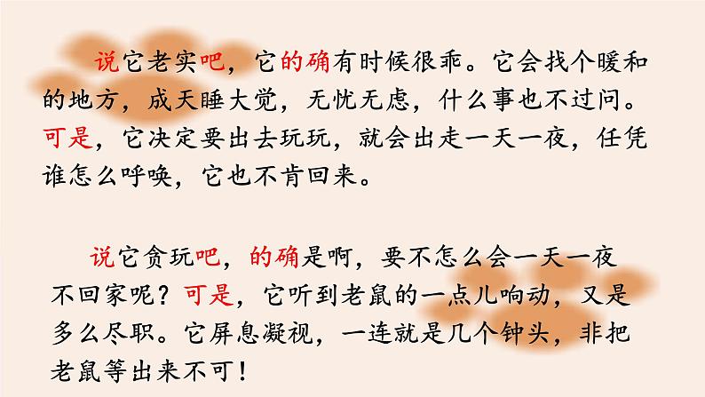 语文部编版4年级下册13课 猫9课件PPT07