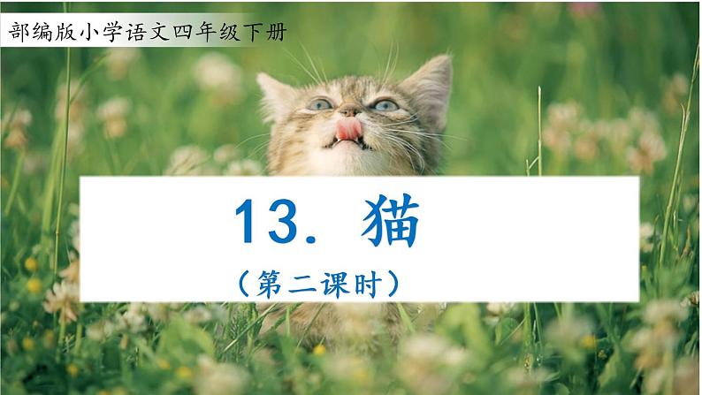 语文部编版4年级下册13课 猫11课件PPT01