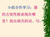 语文部编版4年级下册13课 猫12课件PPT