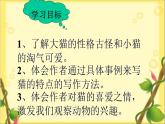 语文部编版4年级下册13课 猫13课件PPT