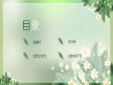 《猴王出世》说课课件PPT