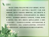 《猴王出世》说课课件PPT