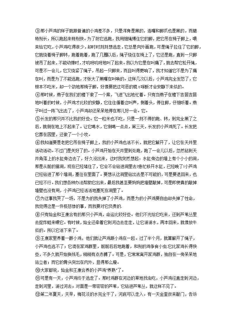 期中复习现代文阅读专项试题-2022-2023学年六年级语文下册（部编版）第3页