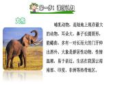 部编版二年级语文下册--19 大象的耳朵（优质课件）