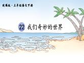 部编版三年级语文下册--22.我们奇妙的世界（课件1）