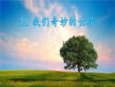 部编版三年级语文下册--22.我们奇妙的世界（课件2）