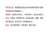 部编版四年级语文下册--19 小英雄雨来（节选）（精品课件1）
