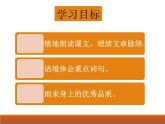 部编版四年级语文下册--19.小英雄雨来（课件2）