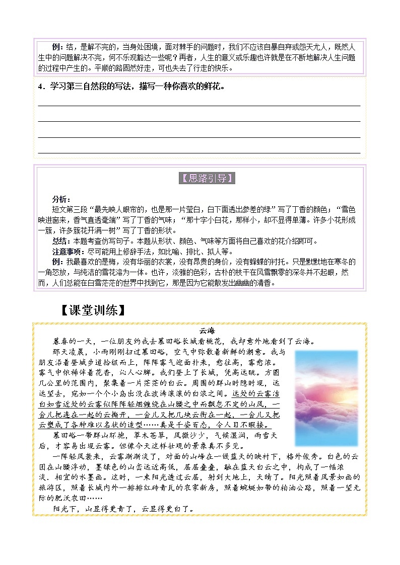【单元主题阅读】第一单元：花草之情（试题）六年级语文上册  部编版（含答案、解析）03