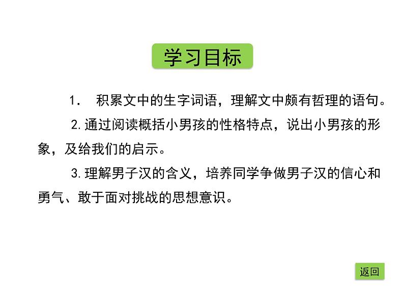 部编版四年级语文下册--20.我们家的男子汉（课件）第4页