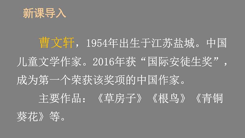 部编版四年级语文下册--21 芦花鞋（优质课件）02