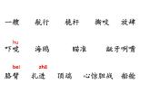 部编版五年级语文下册--17.跳水（课件2）