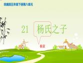 21杨氏之子（课件）部编版语文五年级下册