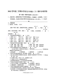 浙江省温州市瑞安市2022-2023学年六年级下学期期中分项评价语文试卷
