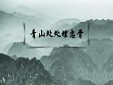10.青山处处埋忠骨课件PPT