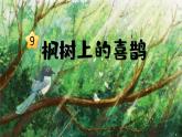 部编版二年级语文下册课件 第四单元 9.枫树上的喜鹊