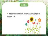 部编版二年级语文下册课件 第四单元 9.枫树上的喜鹊