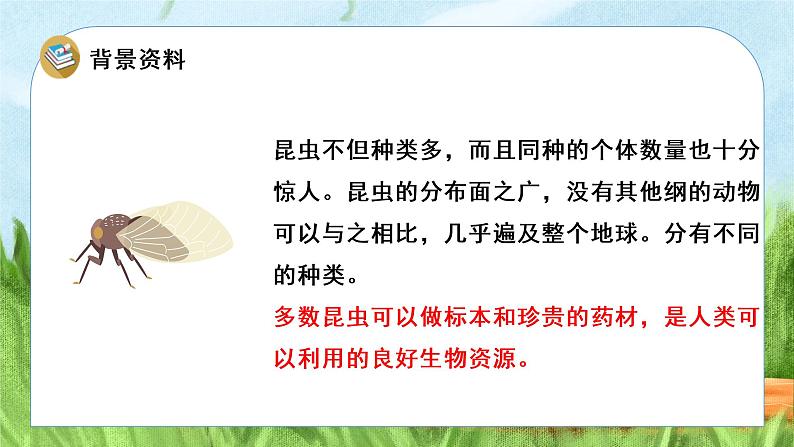 部编版二年级语文下册课件 第四单元 11.我是一只小虫子第7页