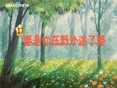 部编版二年级语文下册课件 第六单元 17.要是你在野外迷了路