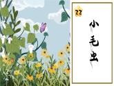 部编版二年级语文下册课件 第七单元 22.小毛虫