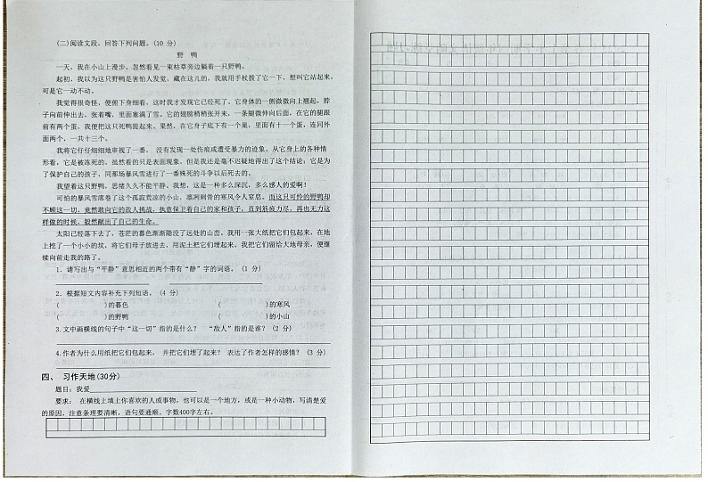 广东省汕尾市海丰县2022-2023学年四年级下学期4月期中语文试题02