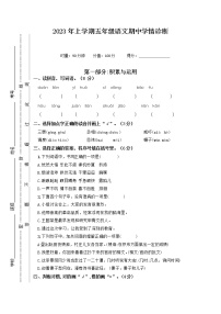 湖南省衡阳市衡山县开云镇城西完小2022-2023学年五年级下学期4月期中语文试题