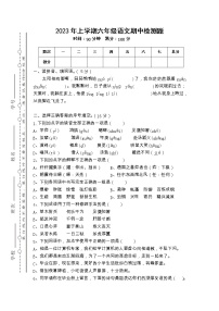 湖南省衡阳市衡山县开云镇城西完小2022-2023学年六年级下学期4月期中语文试题