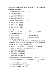 福建省福州市台江区2022-2023学年六年级下学期期中语文试卷