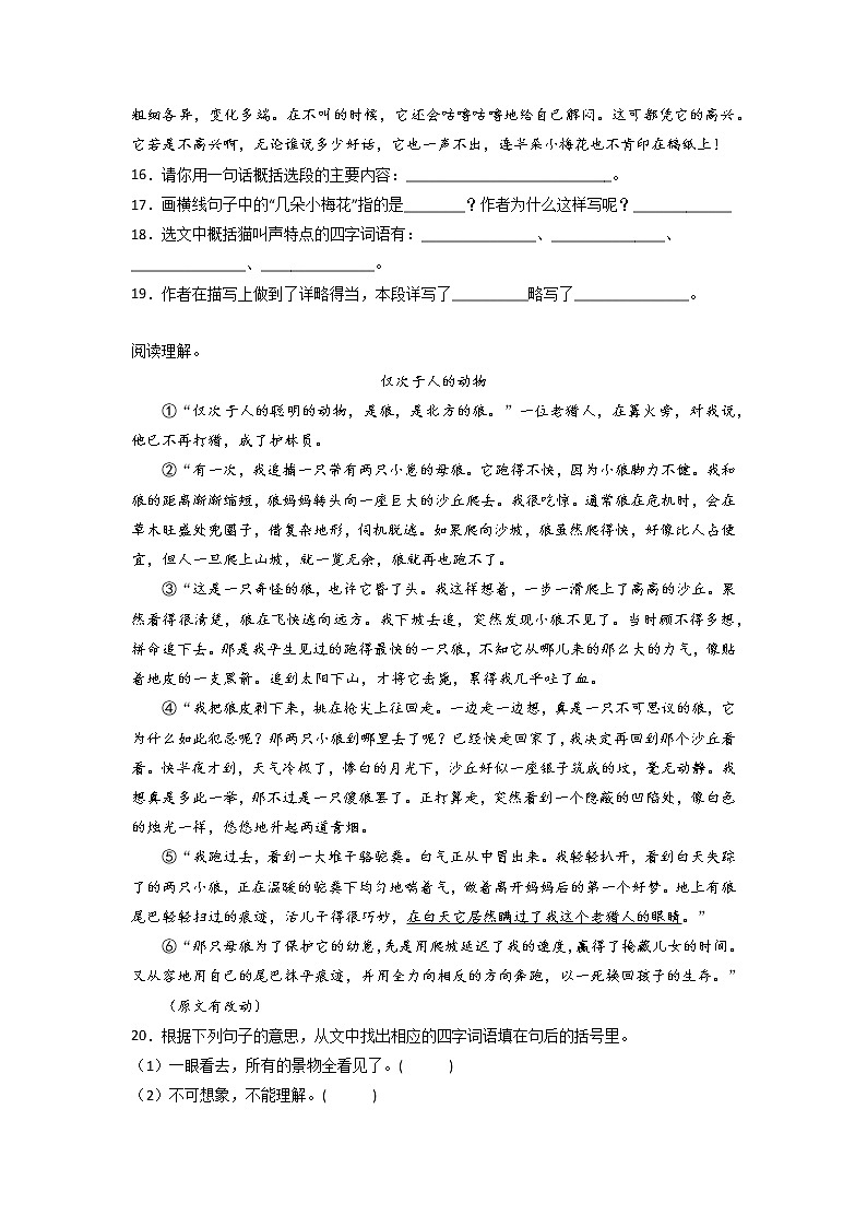 期中易错点复习卷-2022-2023学年语文四年级下册（部编版）03