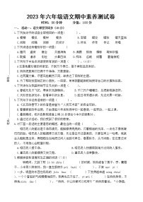 湖南省长沙市宁乡市西部六乡镇联考2022-2023学年六年级下学期期中语文试题