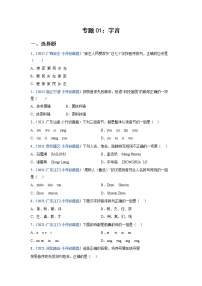 2023年小升初语文高频考点100题  专题01 字音