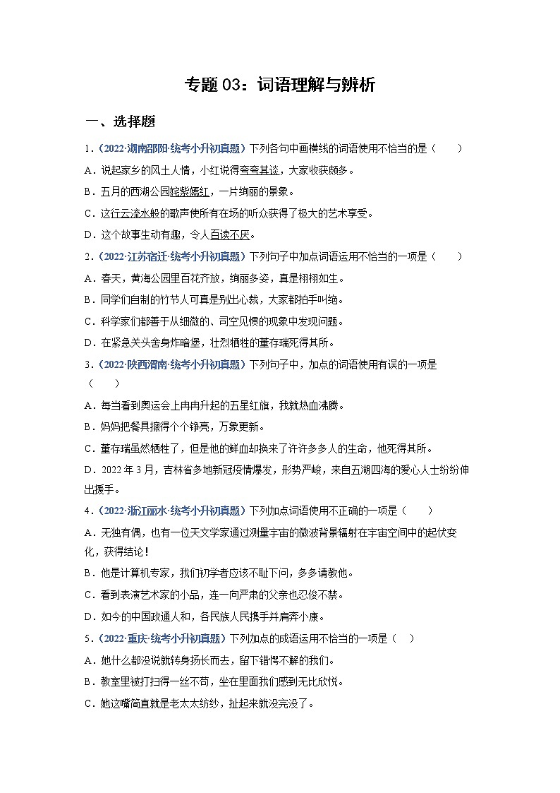 2023年小升初语文高频考点100题  专题03 词语理解与辨析01