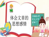 2023年小升初语文总复习 专题14 阅读之体会文章思想感情课件PPT