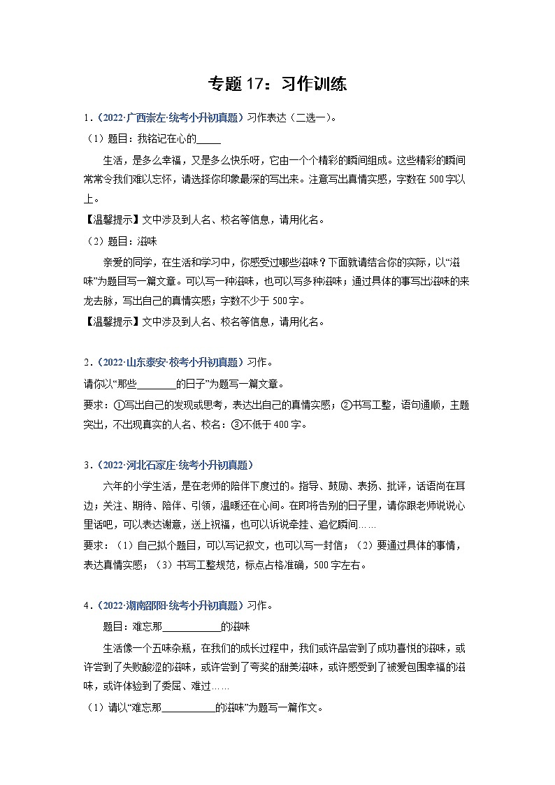 2023年小升初语文高频考点100题  专题17 习作训练01