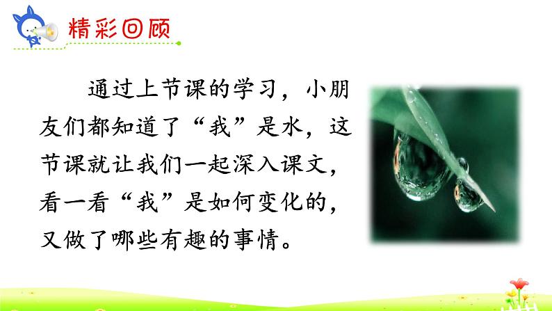 2《我是什么》课件+教案+练习课件+朗读视频02
