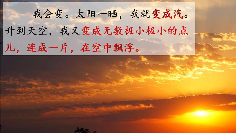 2《我是什么》课件+教案+练习课件+朗读视频03