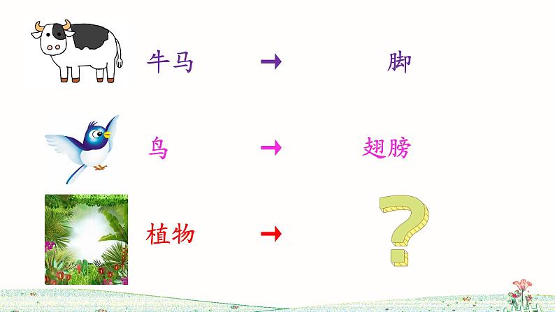 3《植物妈妈有办法》课件+教案+练习课件+朗读视频04