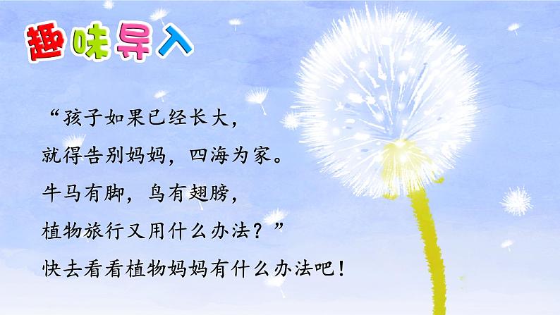 3《植物妈妈有办法》课件+教案+练习课件+朗读视频01