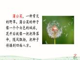 3《植物妈妈有办法》课件+教案+练习课件+朗读视频