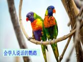 部編版語(yǔ)文二上 口語(yǔ)交際一：有趣的動(dòng)物（課件）