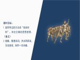 综合性学习  奋斗的历程教学课件