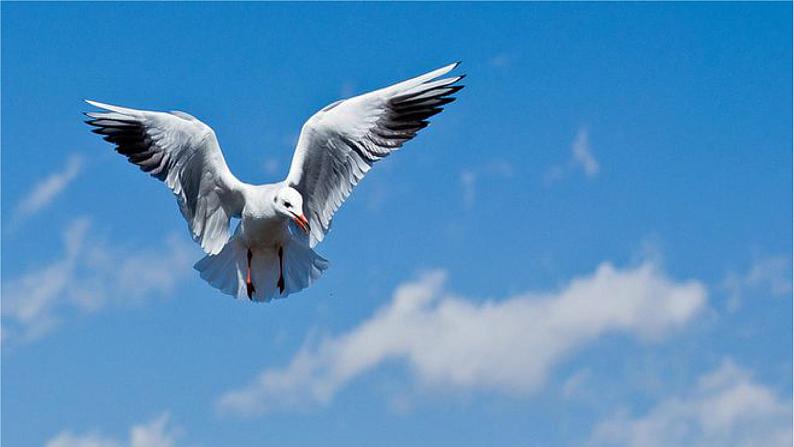 识字1《场景歌》课件+教案+练习课件+朗读视频02