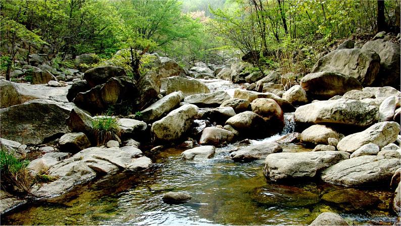 识字1《场景歌》课件+教案+练习课件+朗读视频03