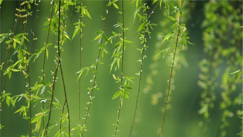 识字1《场景歌》课件+教案+练习课件+朗读视频04