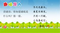 小学语文人教部编版二年级上册树之歌精品课件ppt