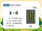 16《朱德的扁担》课件PPT
