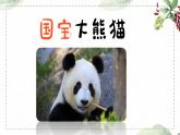 部编版语文三年级下册第七单元 习作： 国宝大熊猫课件PPT