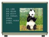习作：《国宝大熊猫》（课件）部编版语文三年级下册