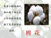 部编版一年级语文下册--19.棉花姑娘（课件2）