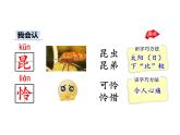部编版二年级语文下册--22 小毛虫（优质课件1） (2)